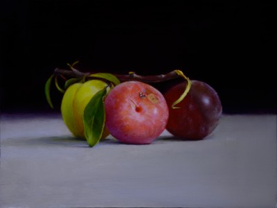 Still Life Painting : SL073_SivanandaNyayapathi_CycleOfLife_12x16in