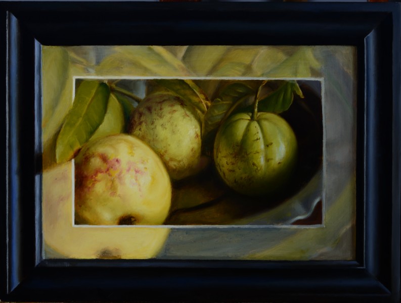 Still Life Painting : SL_SivanandaNyayapathi_Framed_12x16in